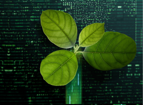 sustainability-as-a-service-desktop